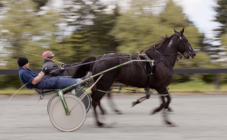 trotter and pacer enterprise, we passed a large number of people